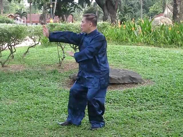 Wu Yu Xiang Style Taijiquan